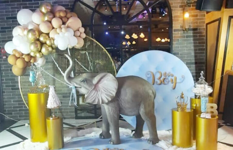 תמונות רוחב חדש2